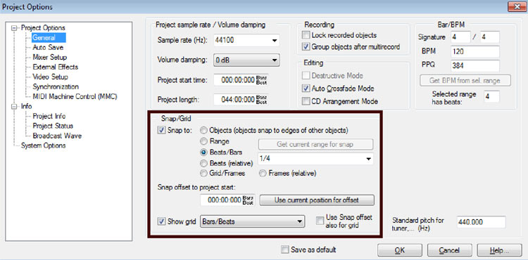 grid and snap function project options